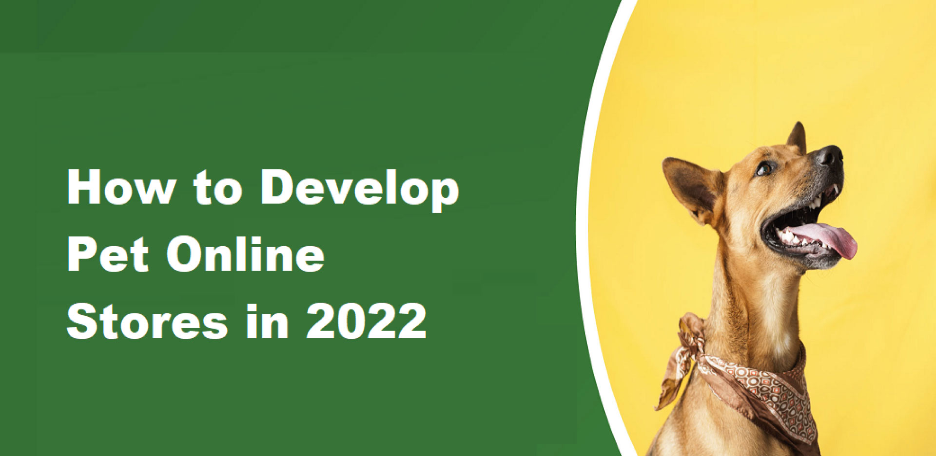 How to Develop Pet Online Stores in 2022
