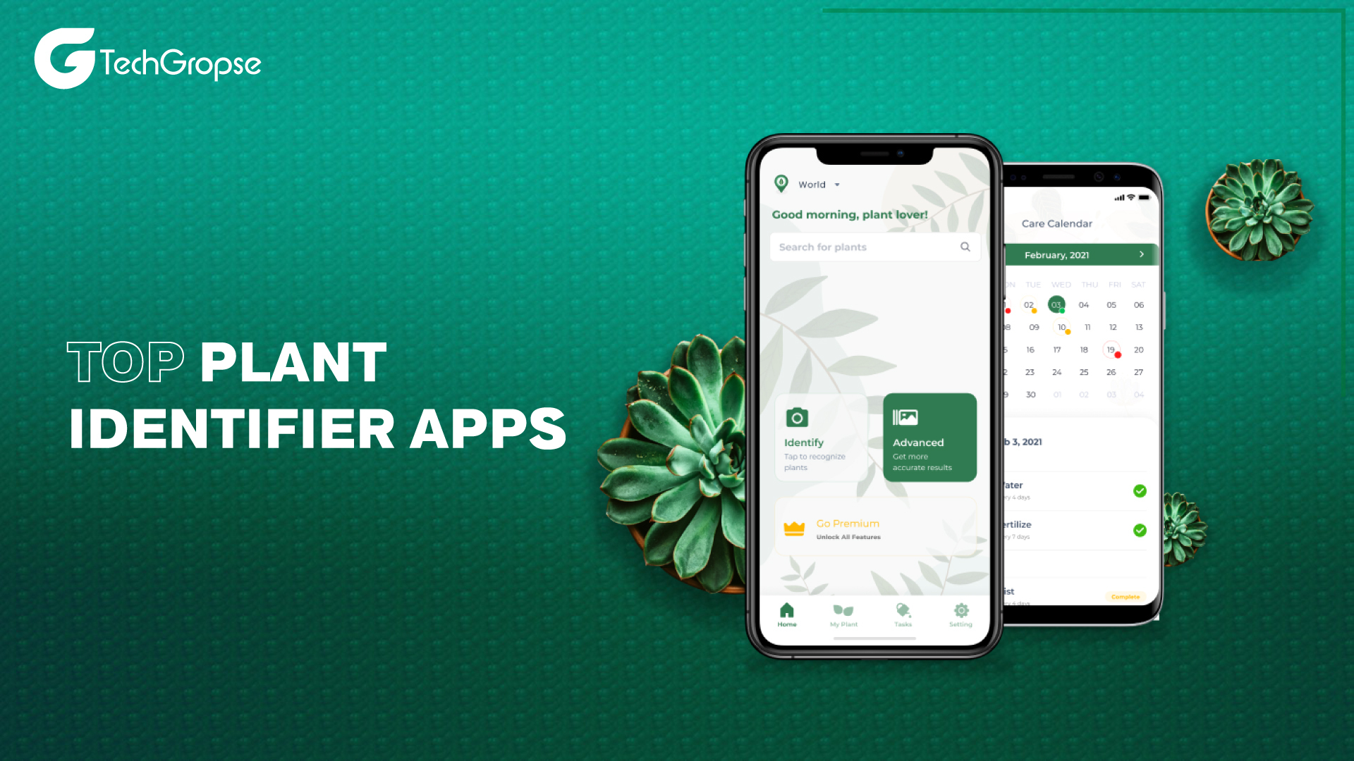 Top Plant Identifier Apps