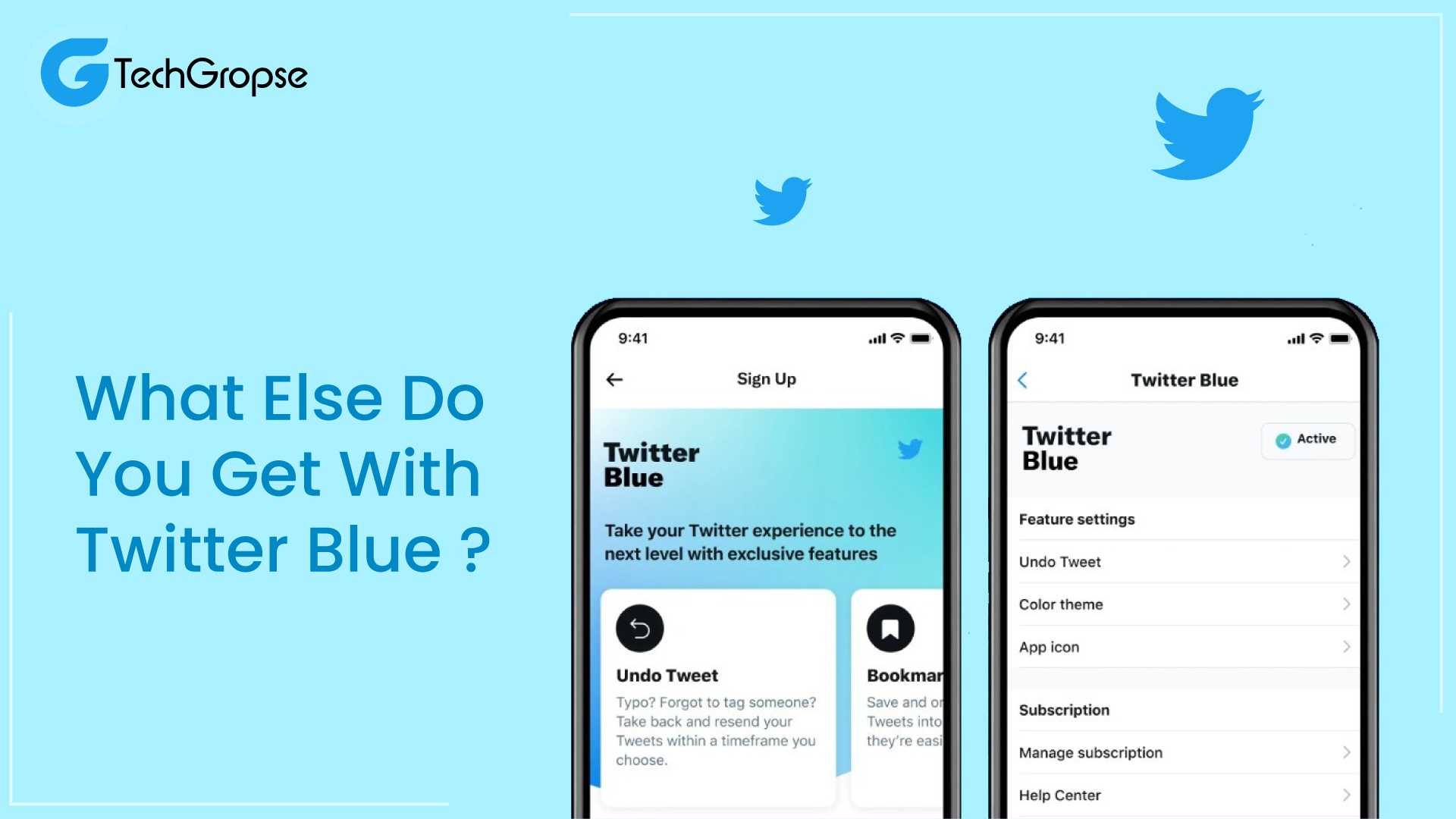 Twitter Blue Launches in India