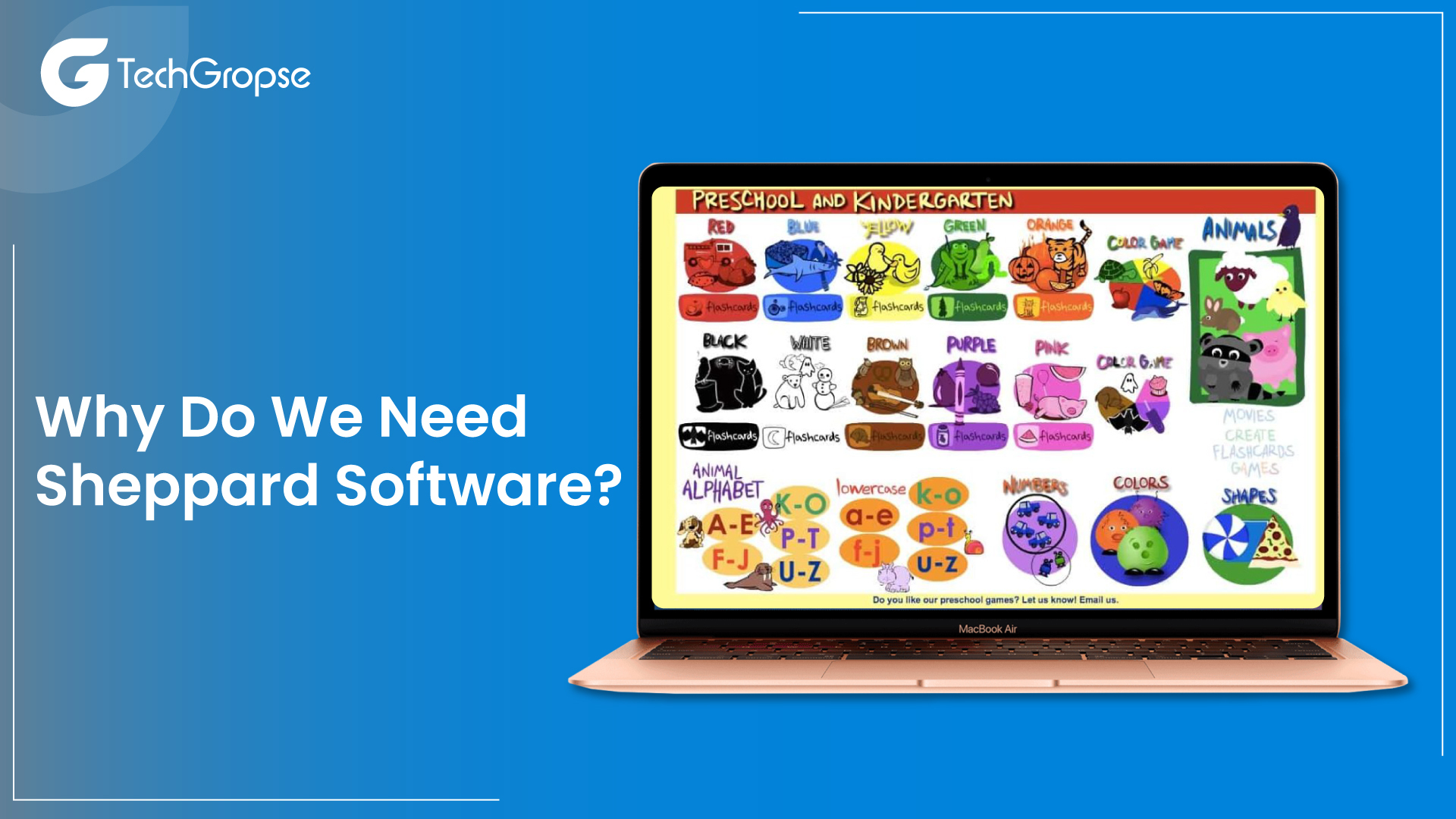 Why Do We Need Sheppard Software?