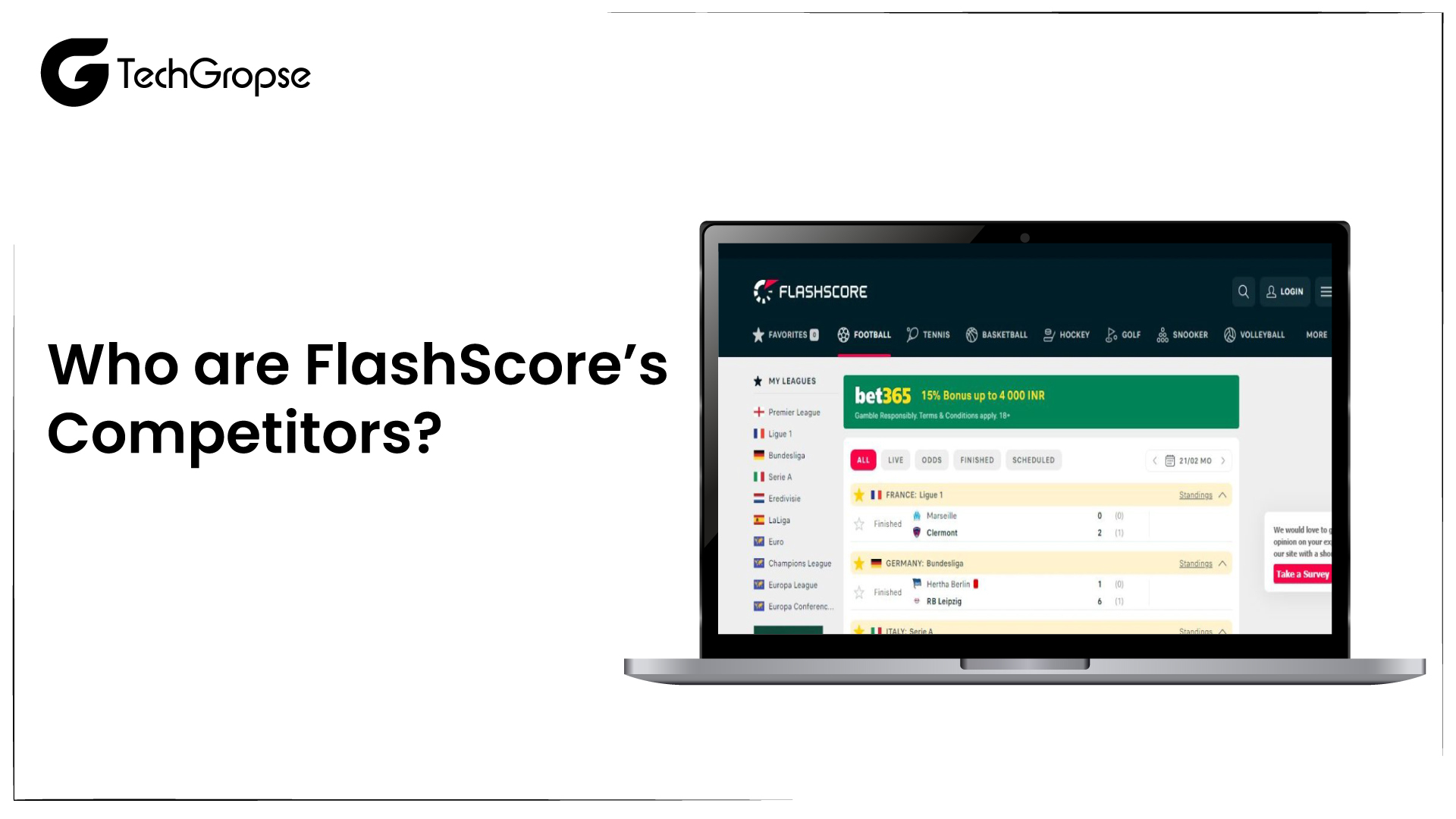 Know the Flashscore Business Model (2023)