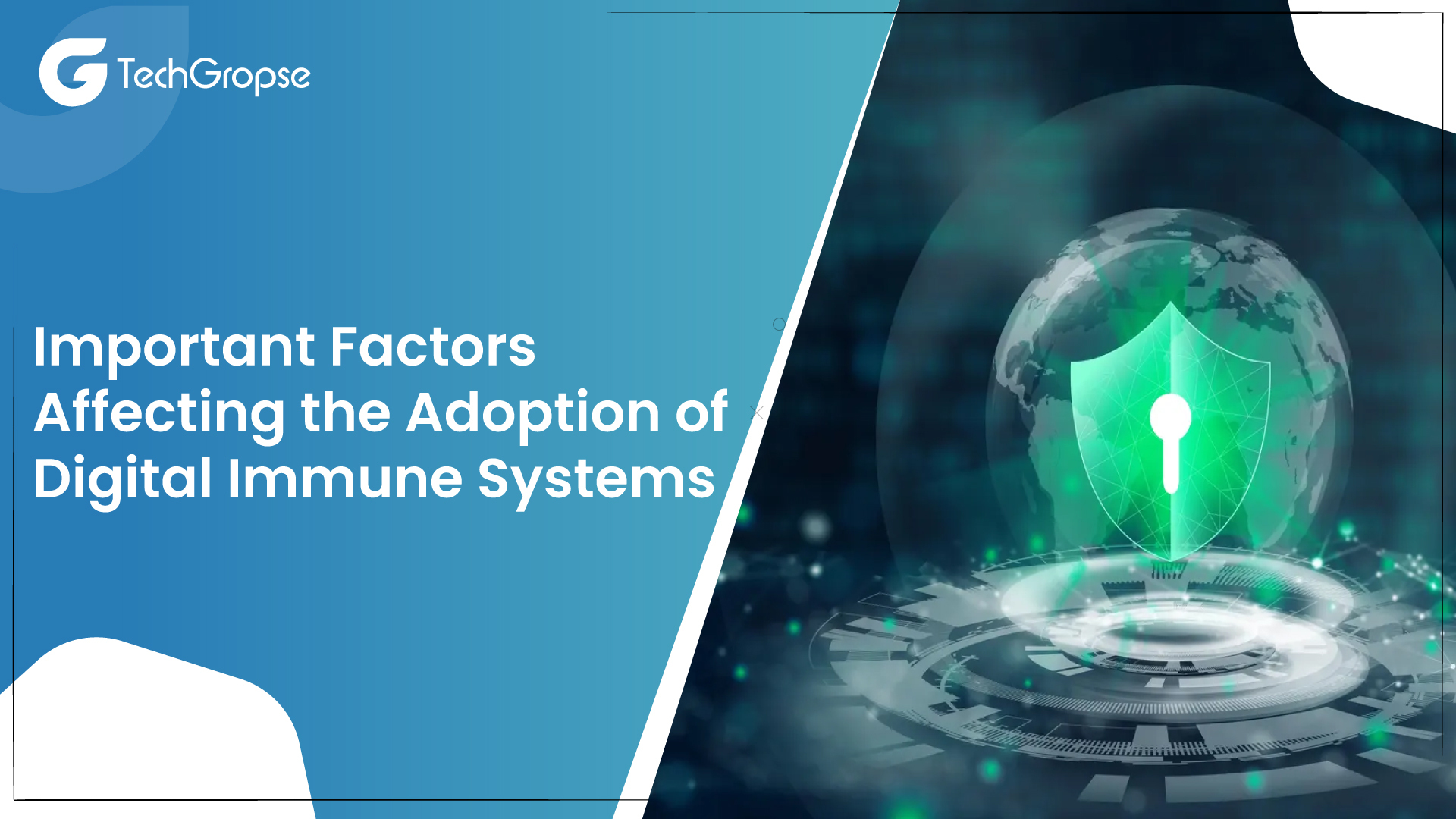 Important Factors Affecting the Adoption of Digital Immune Systems
