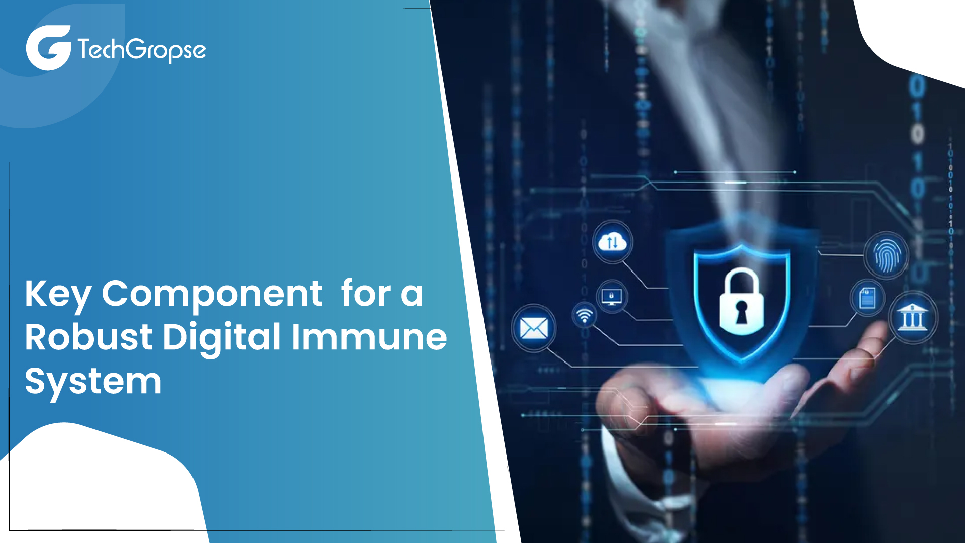 Key Component for a Robust Digital Immune System