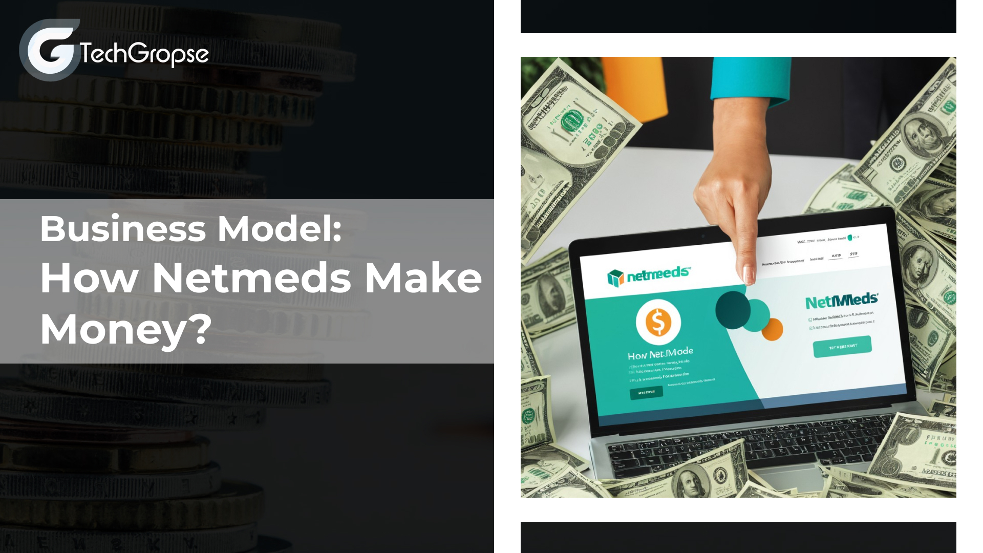 Business Model: How Netmeds Make Money?