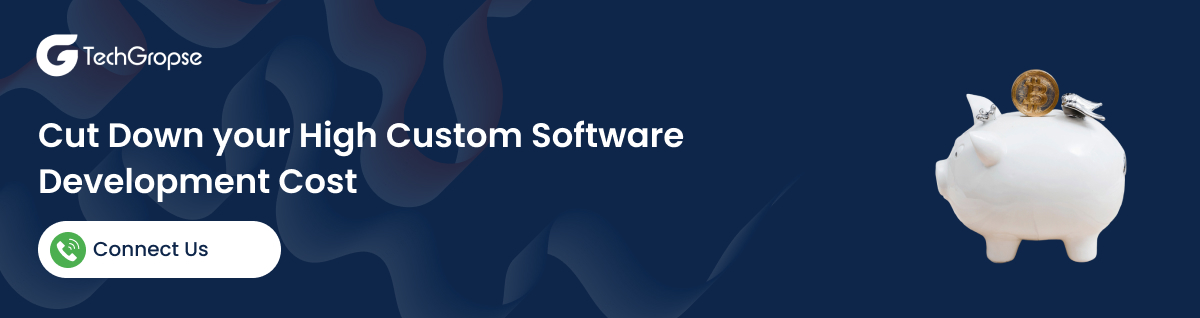 Cut Down your High Custom Software Development Cost - TechGropse