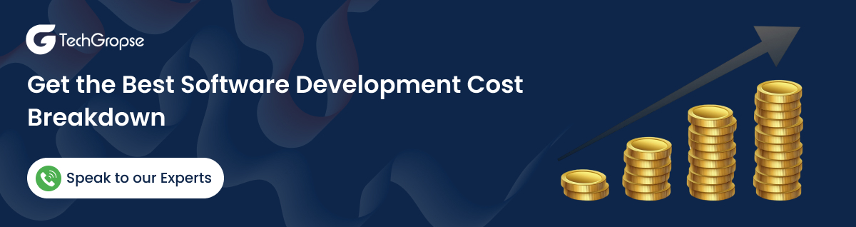 Streamline your Custom Software Development Cost - TechGropse