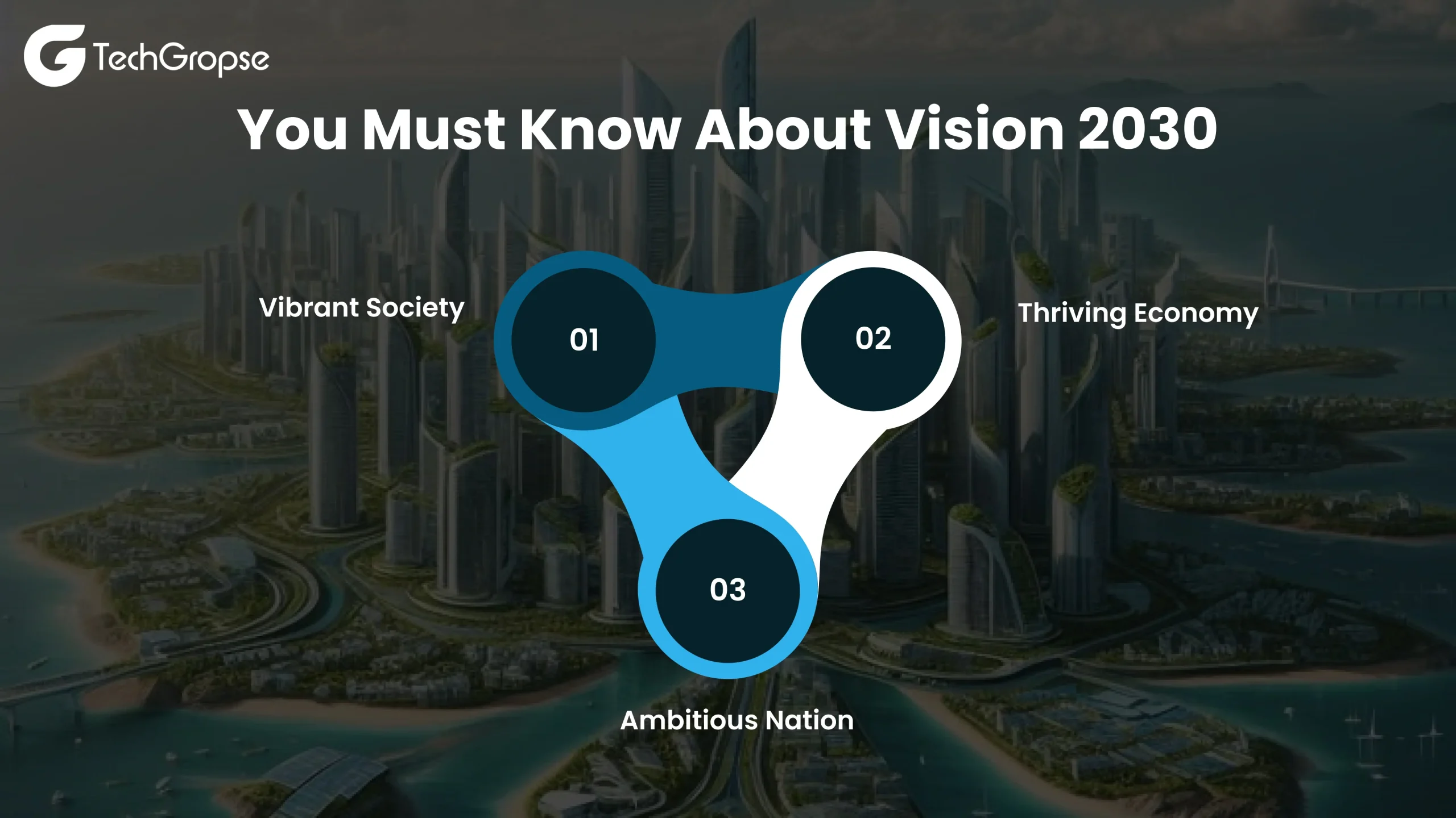 You Must Know About Vision 2030