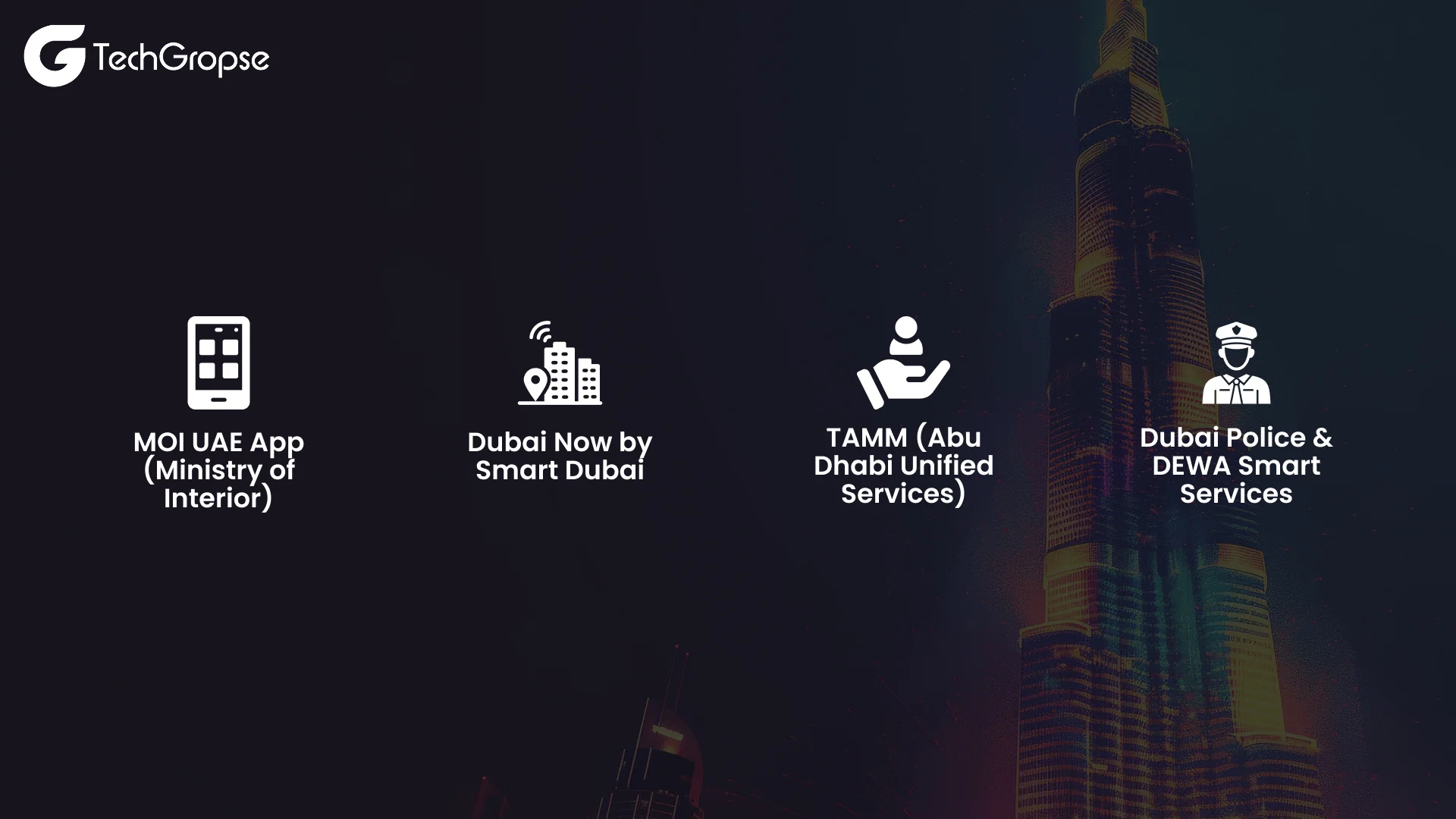 Case Studies_ Successful Government Apps in UAE