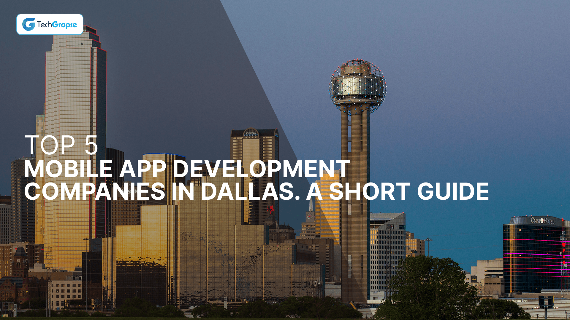 Top 5 Mobile App Development Companies in Dallas. A Short Guide (1)