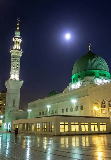 ai model development