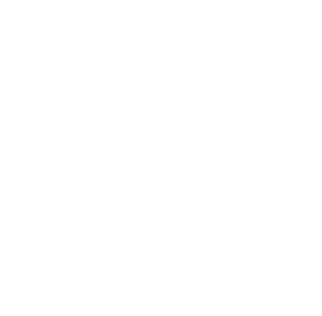 Chicago Flag – TechGropse Mobile App Development Agency Chicago