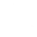 Icon for custom solutions from a top custom mobile app development company.