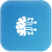 Icon representing machine learning model development services expertise.