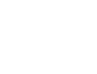 Google review platform logo