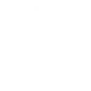 Intelligent security services and solutions