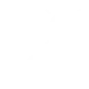 AI Solutions