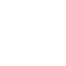 Custom Software