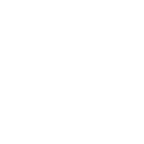 EV
