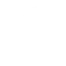 Development and Launch