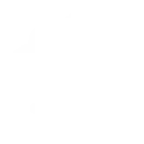 AI/ML Development Services