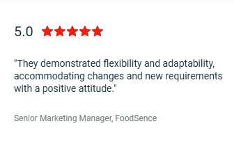 dubai software development agency​