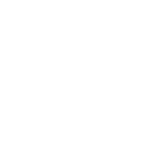 custom software development