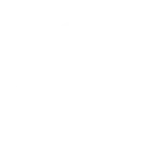 AI & Data Solutions