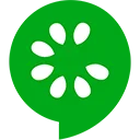 programming agency Saudi Arabia