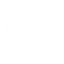 custom software developer