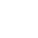 bespoke software development services