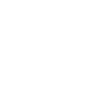 custom software development