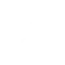 custom software development in Saudi Arabia​