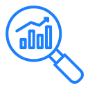 custom software developer